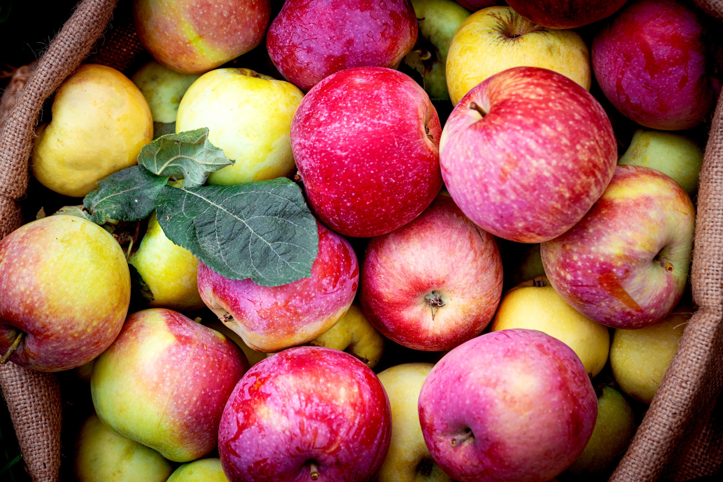 Trump’s Tariffs Are Threatening America’s Apple Juice Supply Chain